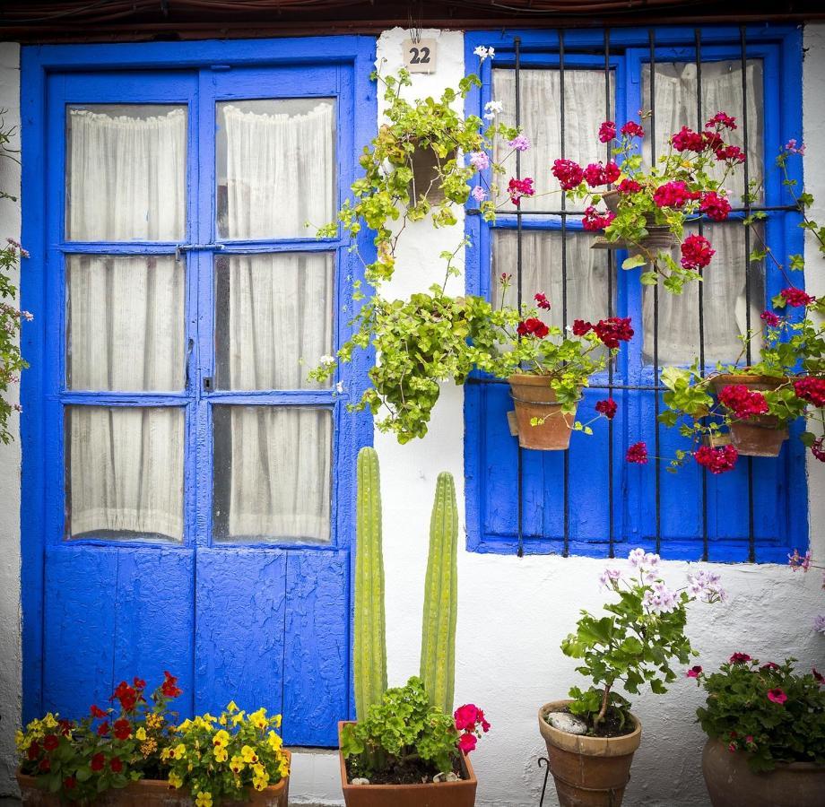 Ziba Cordoba Only Families Apartment Екстериор снимка
