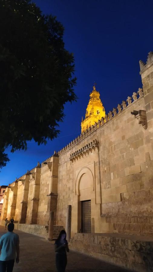 Ziba Cordoba Only Families Apartment Екстериор снимка
